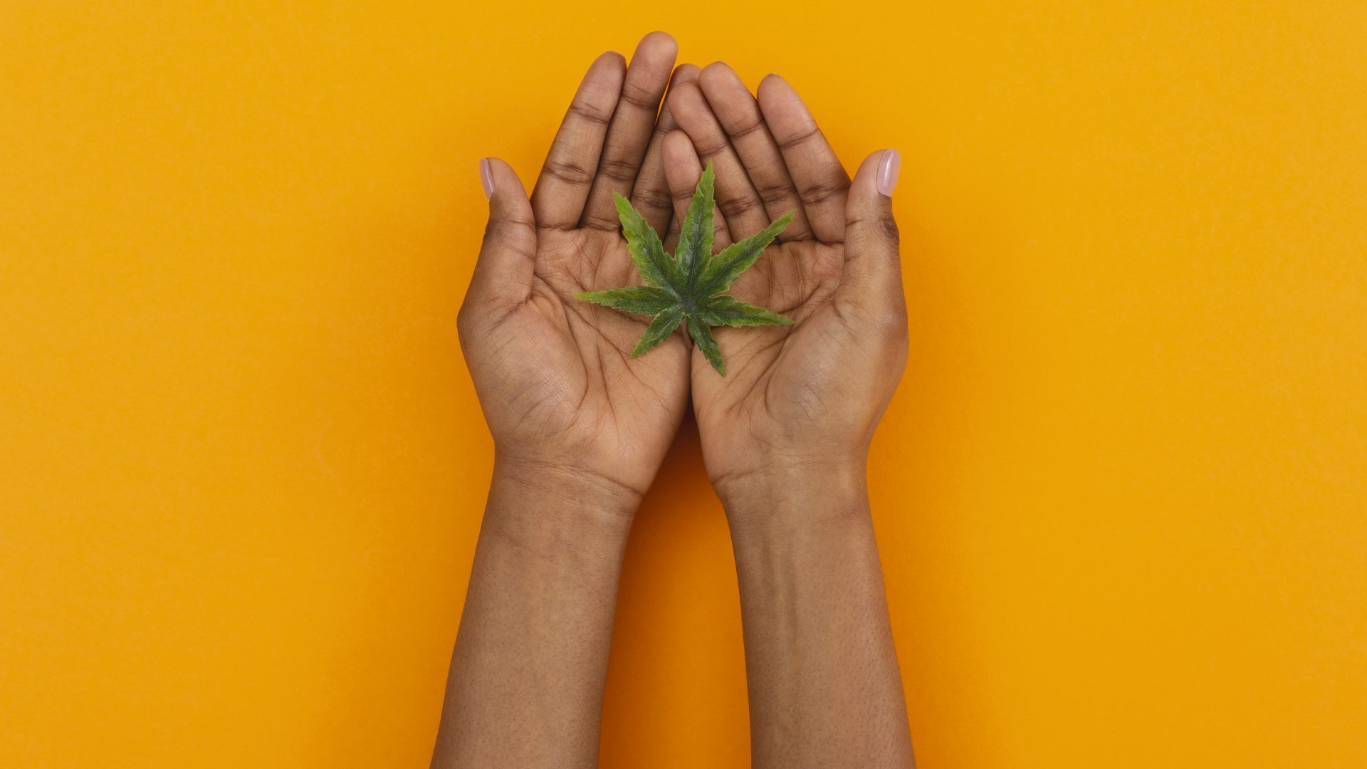 Black Women Are Taking Over The Cannabis Industry