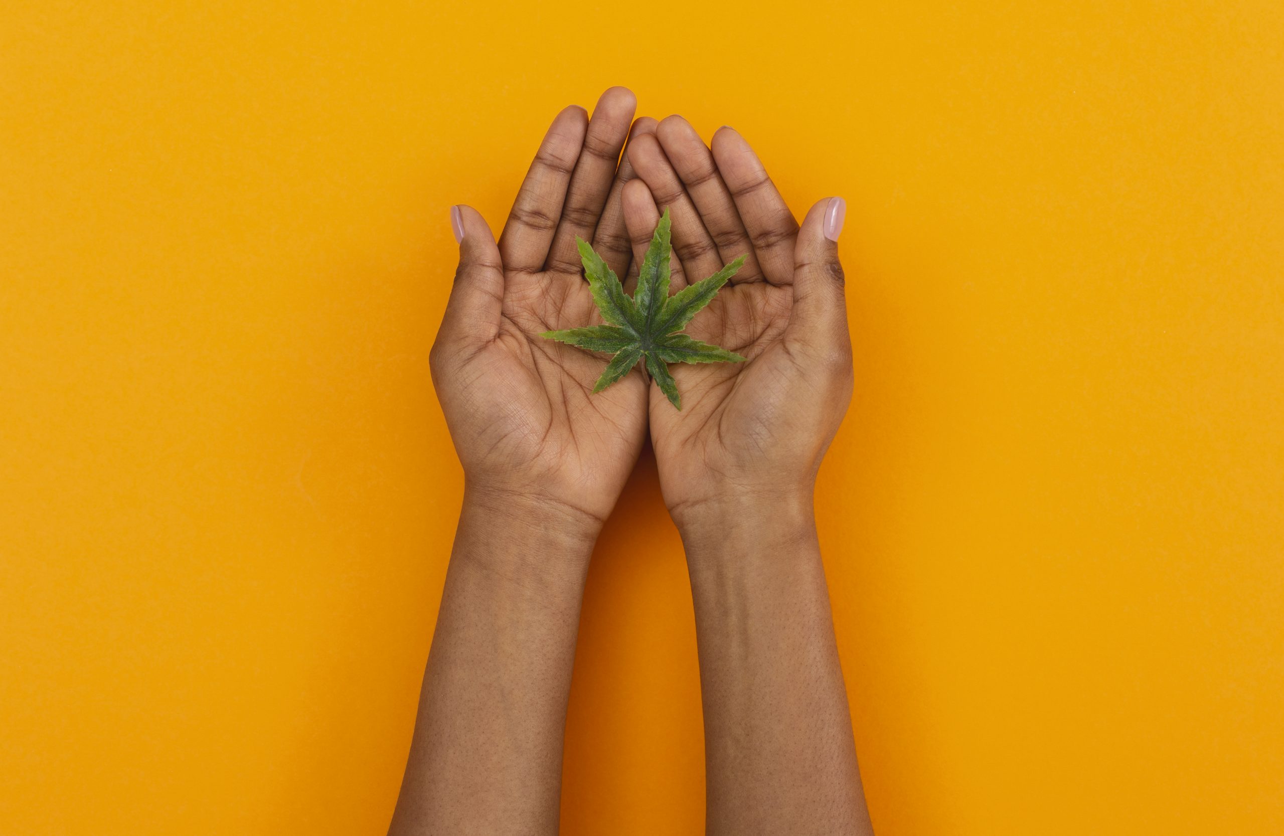 Black Women Are Taking Over The Cannabis Industry