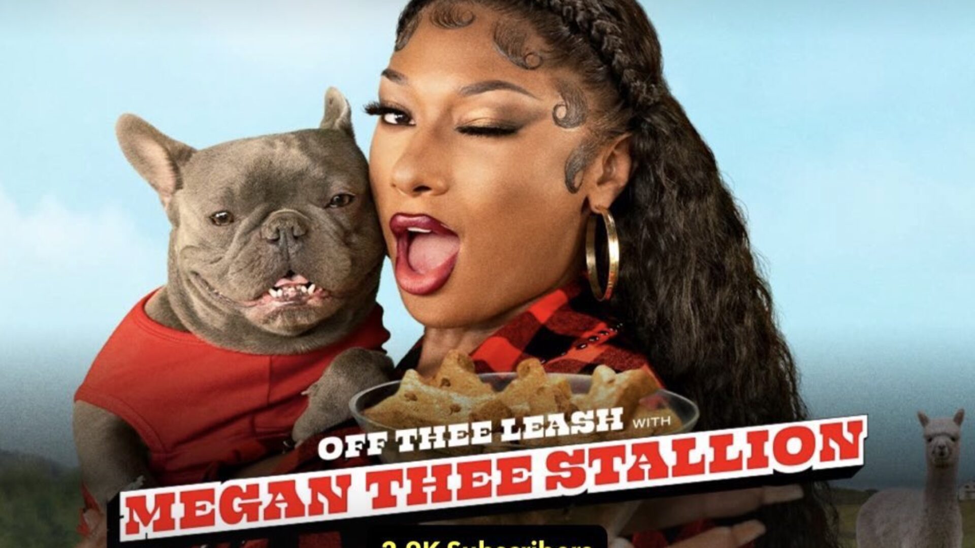 Megan Thee Stallion Lands New Show With Snapchat, ‘Off Thee Leash…’