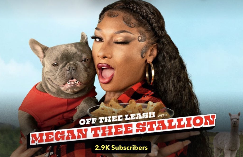 Megan Thee Stallion Lands New Show With Snapchat, ‘Off Thee Leash…’