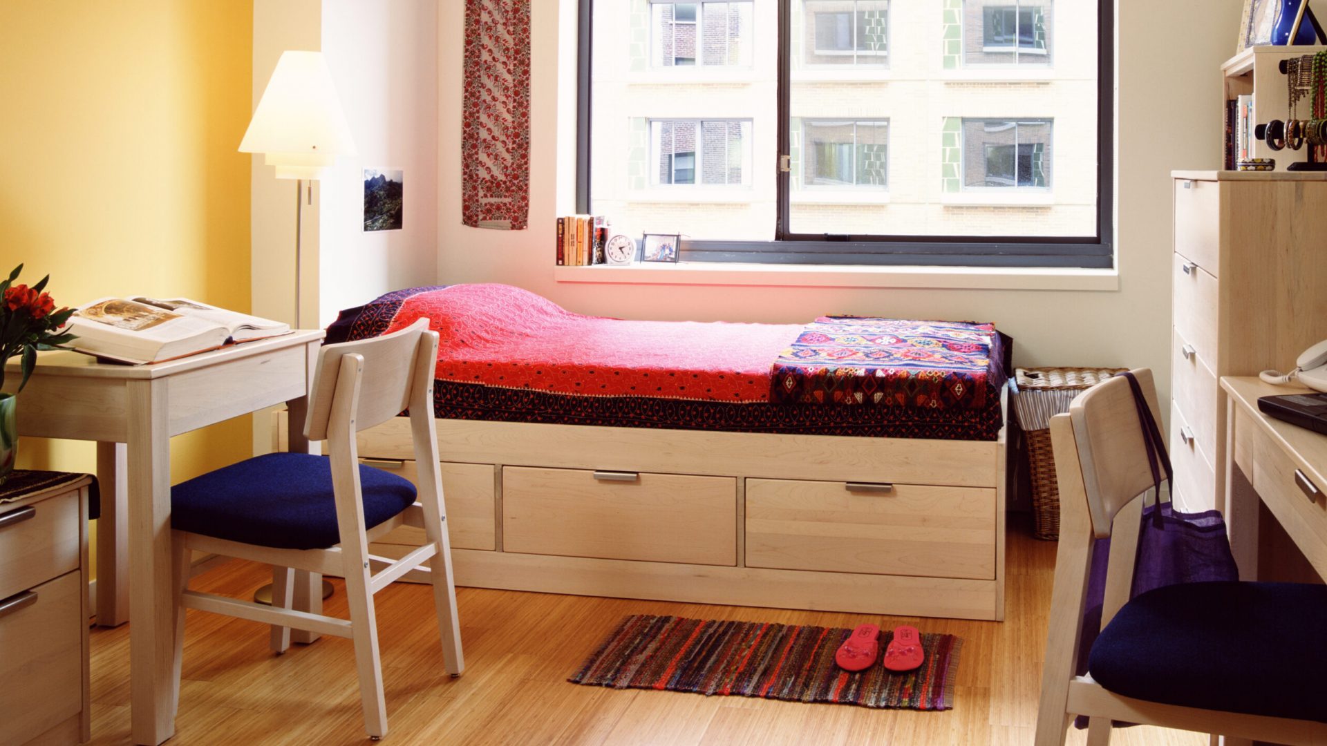 6 Essentials Every College Student Needs For Their Dorm Room