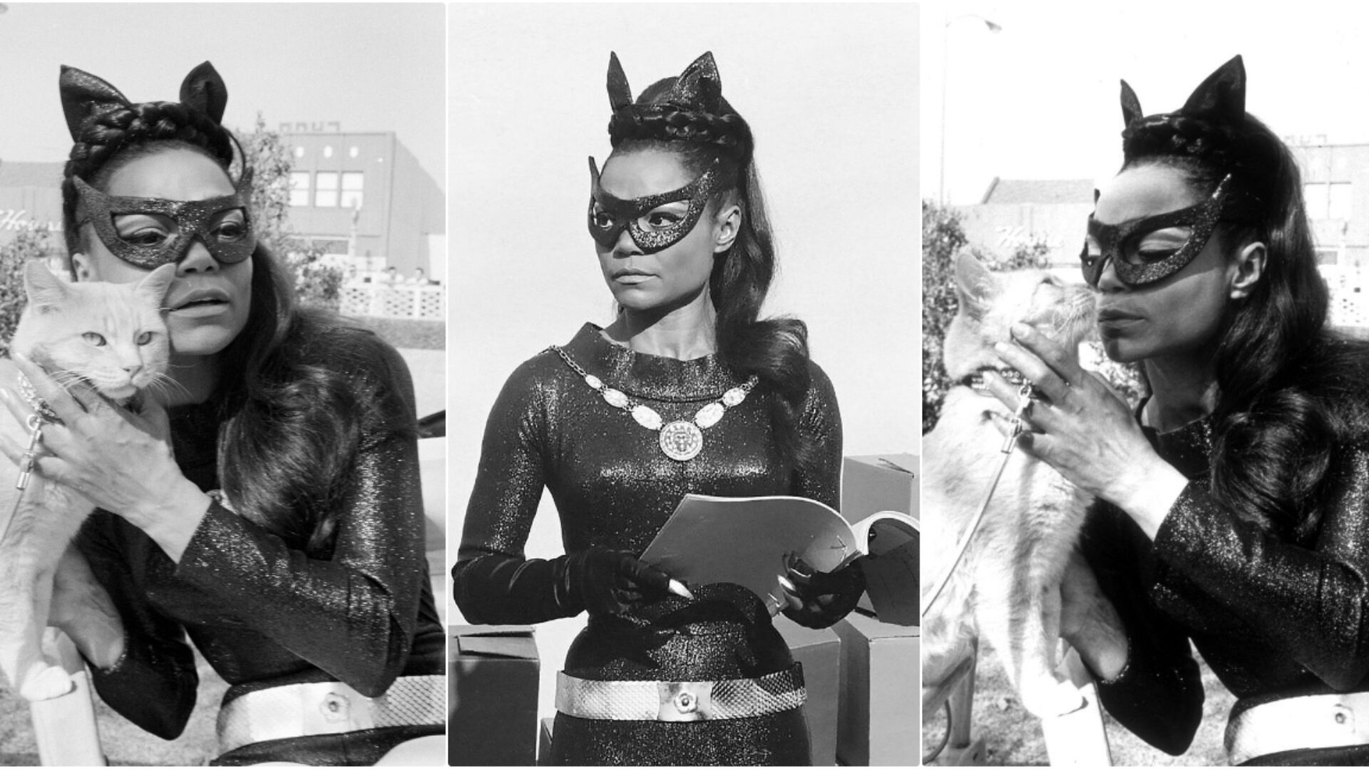 Poster eartha kitt catwoman