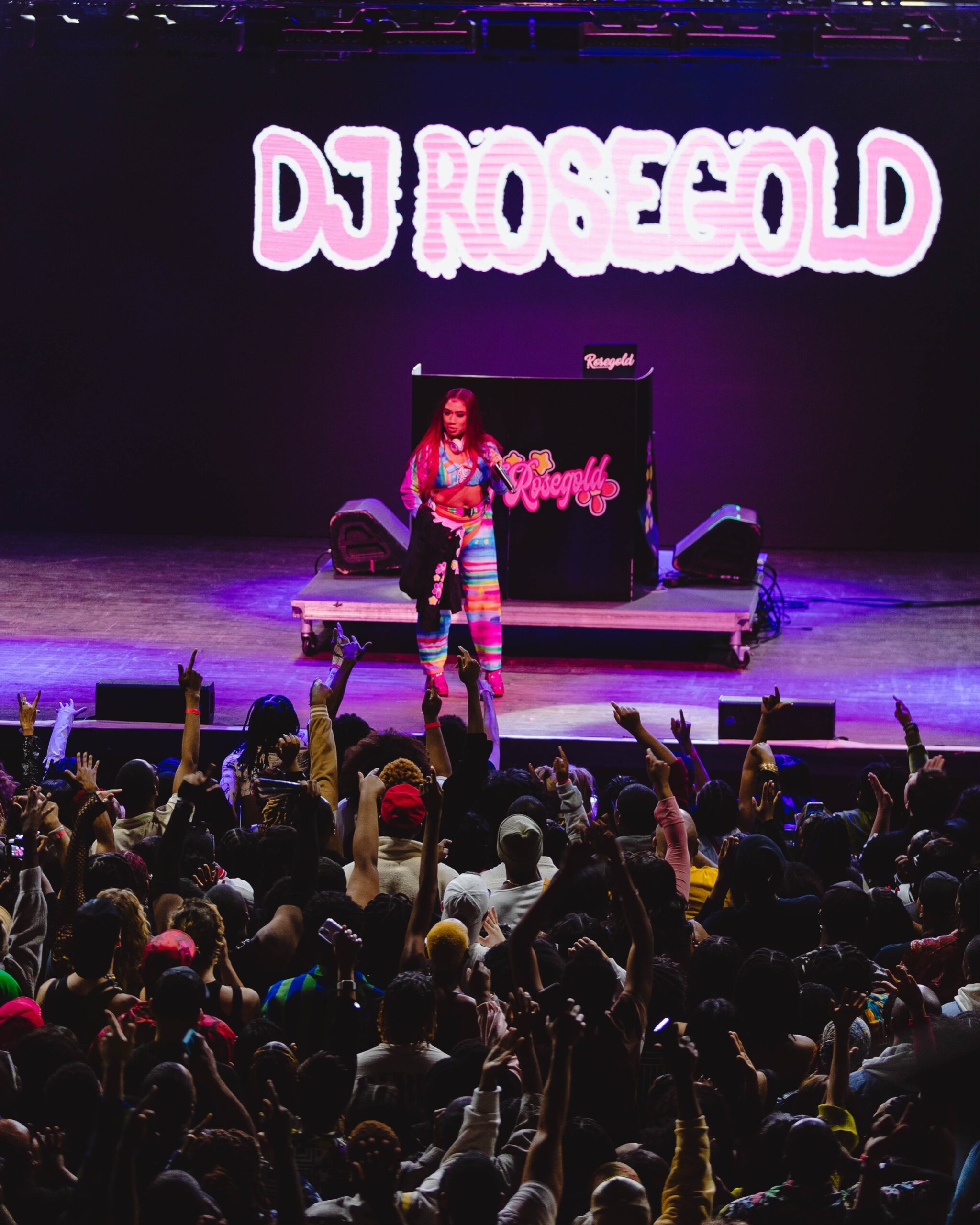 DJ Rosegold Is Bringing A New Experience To Music