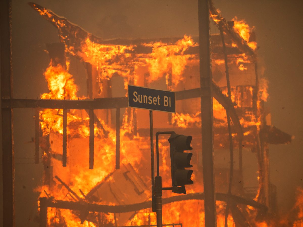 Los Angeles Fires: Uncovering The Hidden Struggles Of Incarcerated Firefighter Heroes