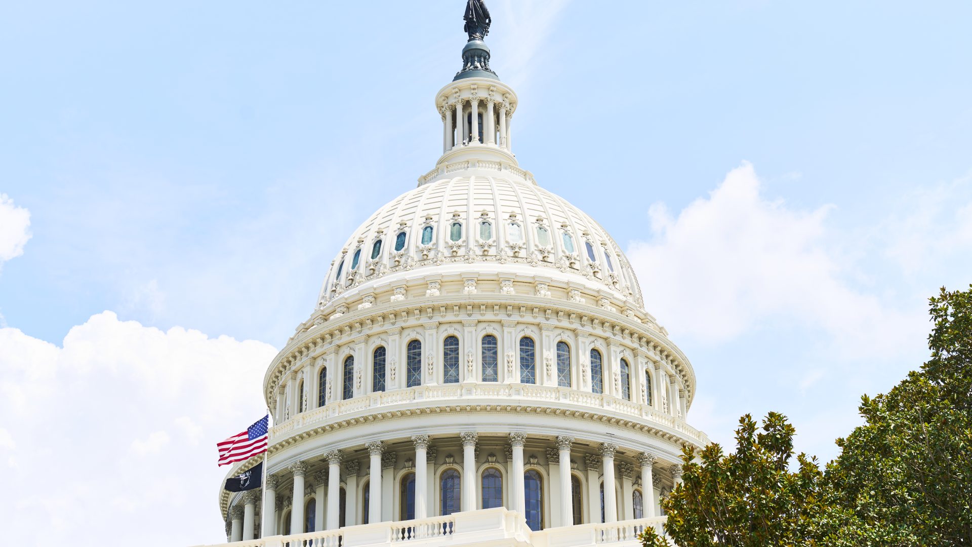 Digestible Politics: What Happened At The White House In December