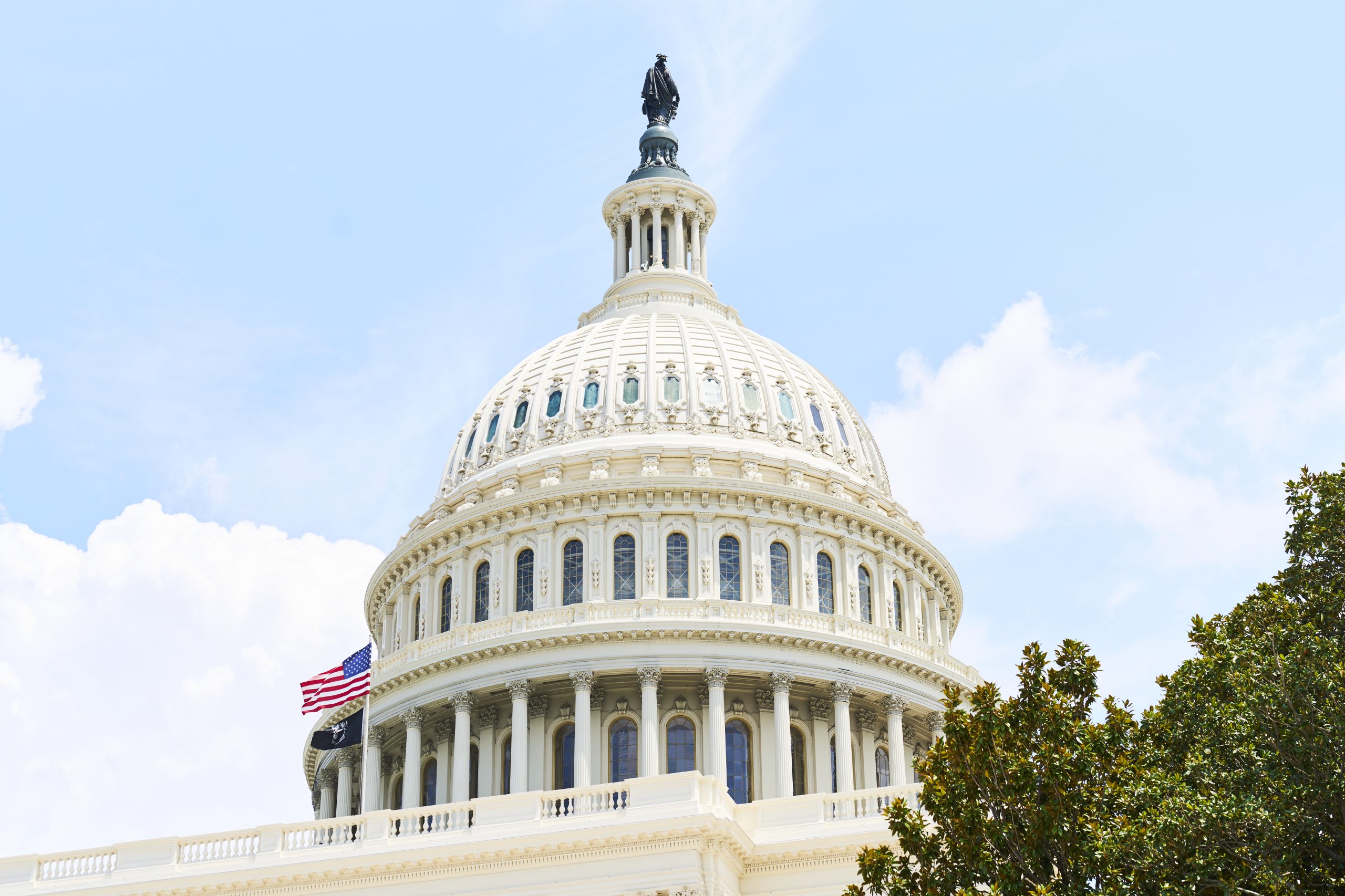 Digestible Politics: What Happened At The White House In December